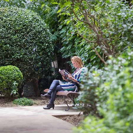 De Montparnasse باريس