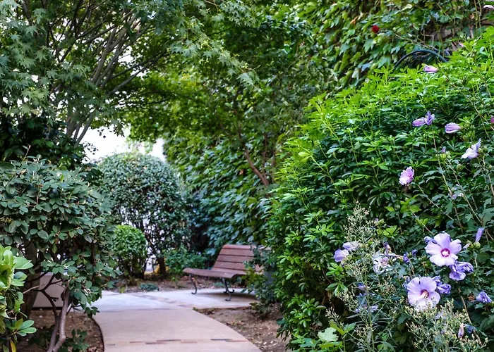 De Montparnasse Hotel 3*