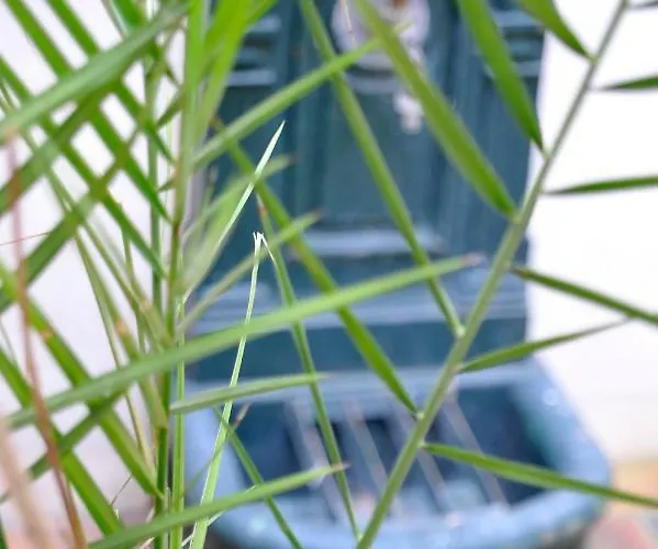 De Montparnasse باريس