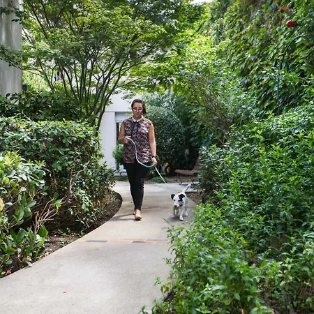 De Montparnasse 酒店 3*