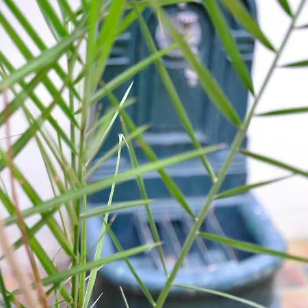 De Montparnasse 巴黎